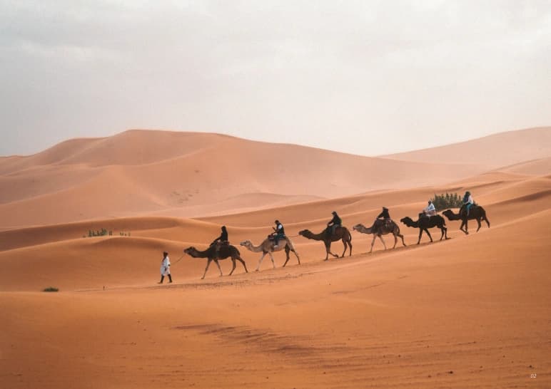Al Wadi Desert, Dubai