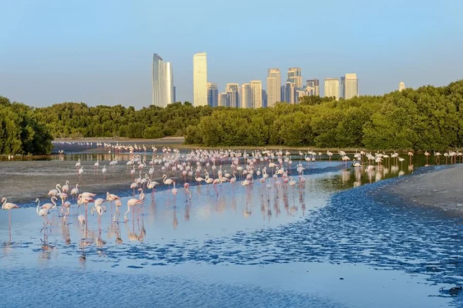 Ras Al Khor, Dubai